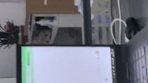 预览图 3