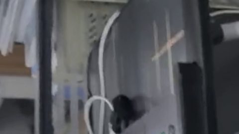 预览图 5