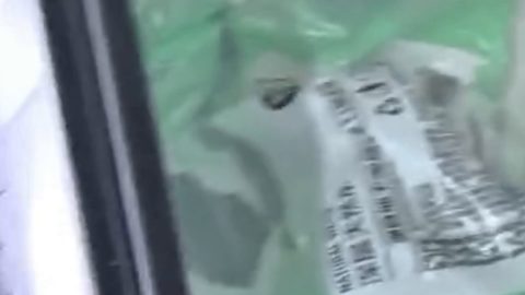 预览图 8